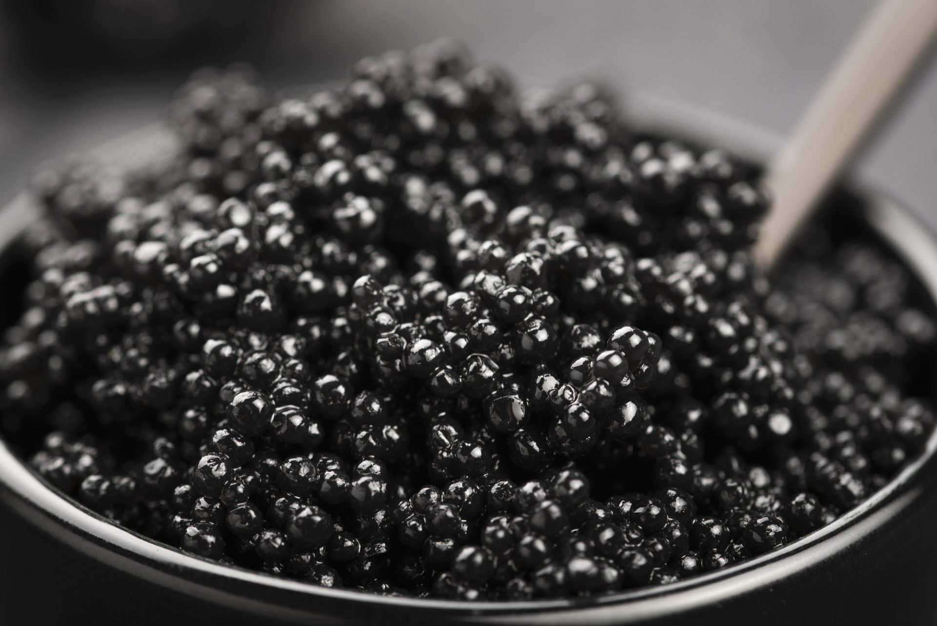Beluga Caviar – The Finest Premium Caviar in UAE